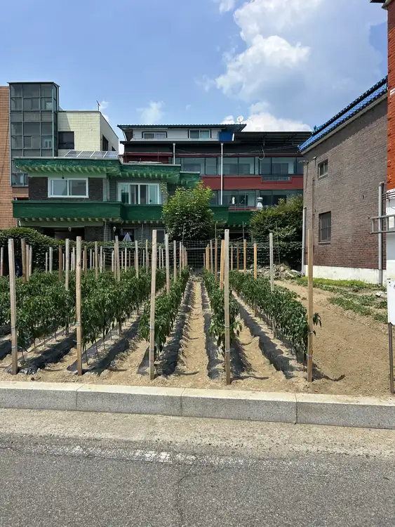 파주 울타리설치 시공 전 1